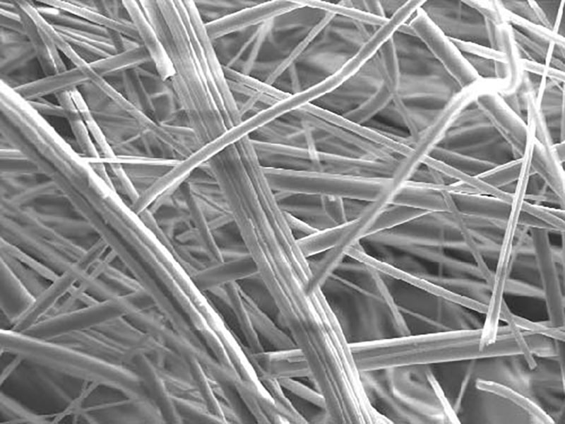 高壓均質機對于細胞破碎的應用